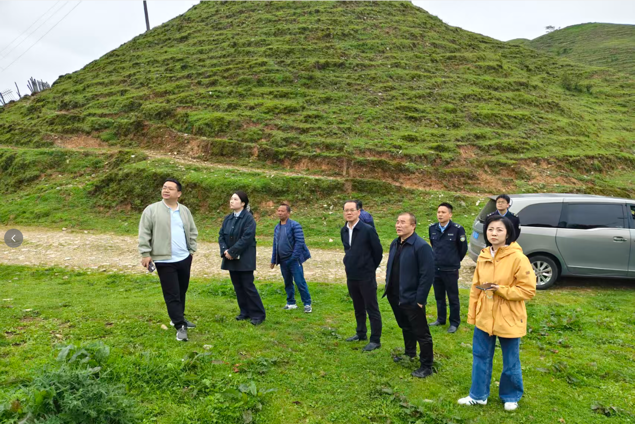 图片2.png 图片2.png